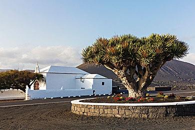 《OctaRace》众筹进入最终阶段 试玩版上线Steam平台